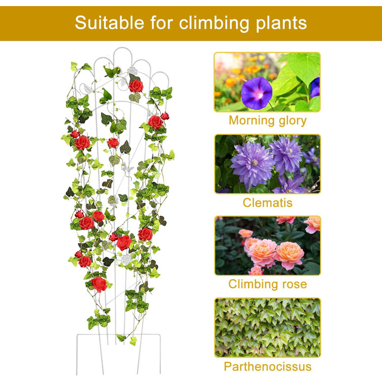 Red Barrel Studio® 59'' H x 17.3'' W Metal Expanding Trellis Wayfair